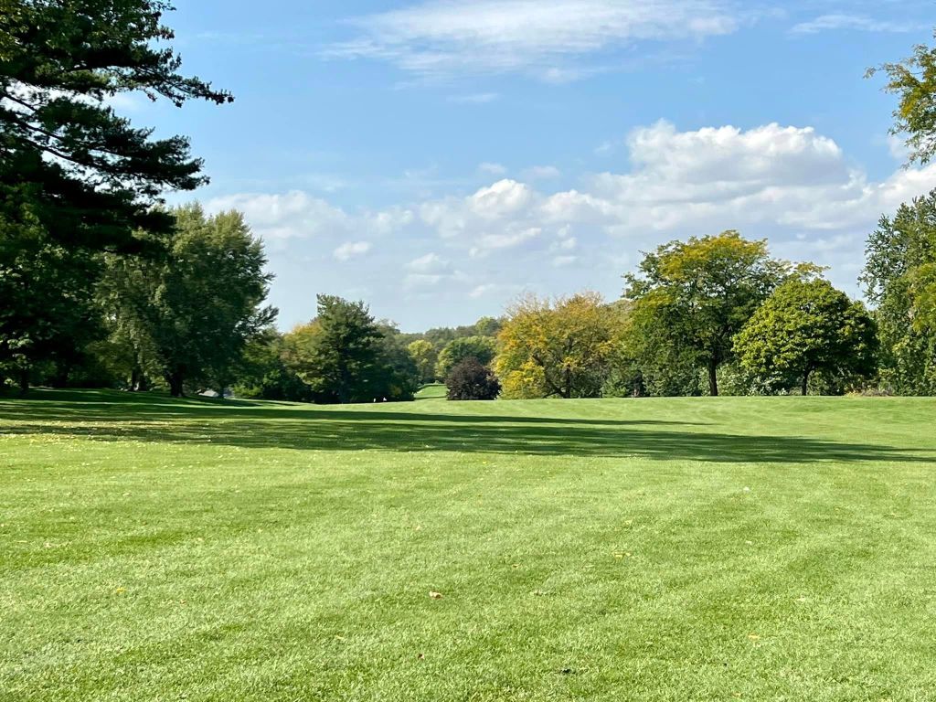 golf course green